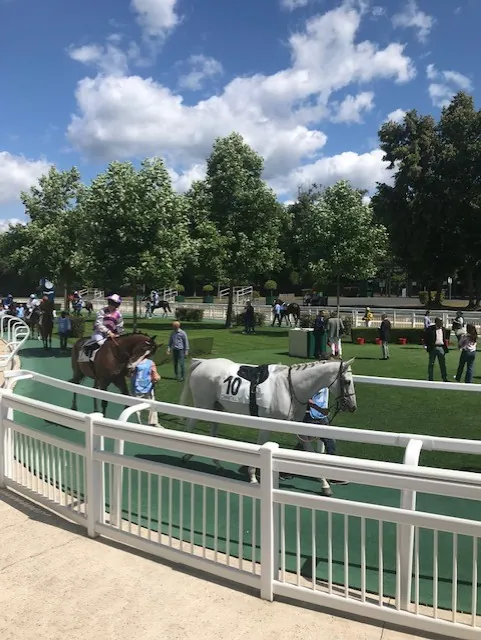 Sortie hippique à l'hippodrome de Chantilly