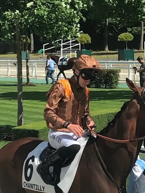 Sortie hippique à l'hippodrome de Chantilly
