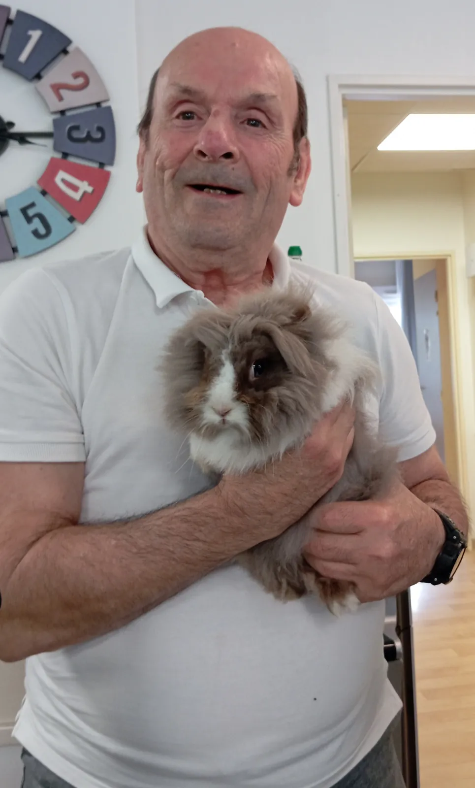 Ce matin un lapin ...