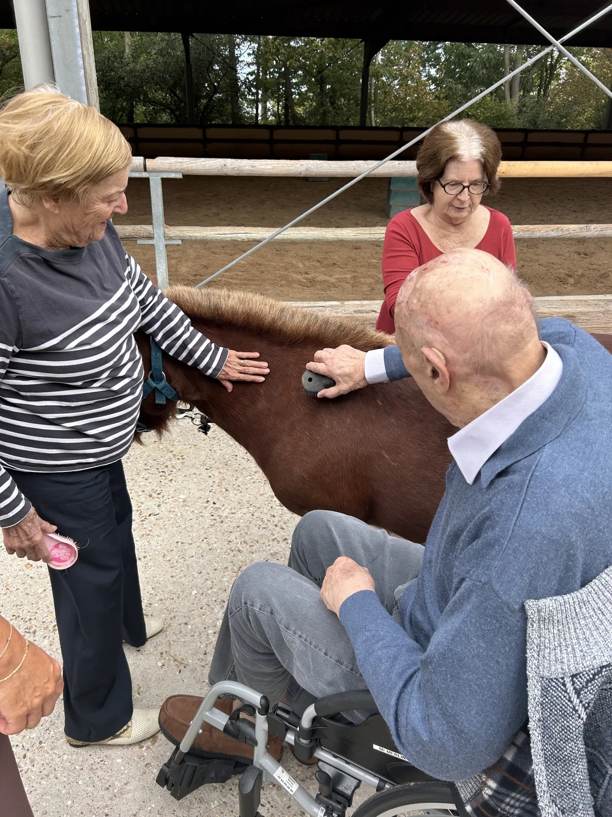 A la rencontre des chevaux, au centre équestre de Suresnes 