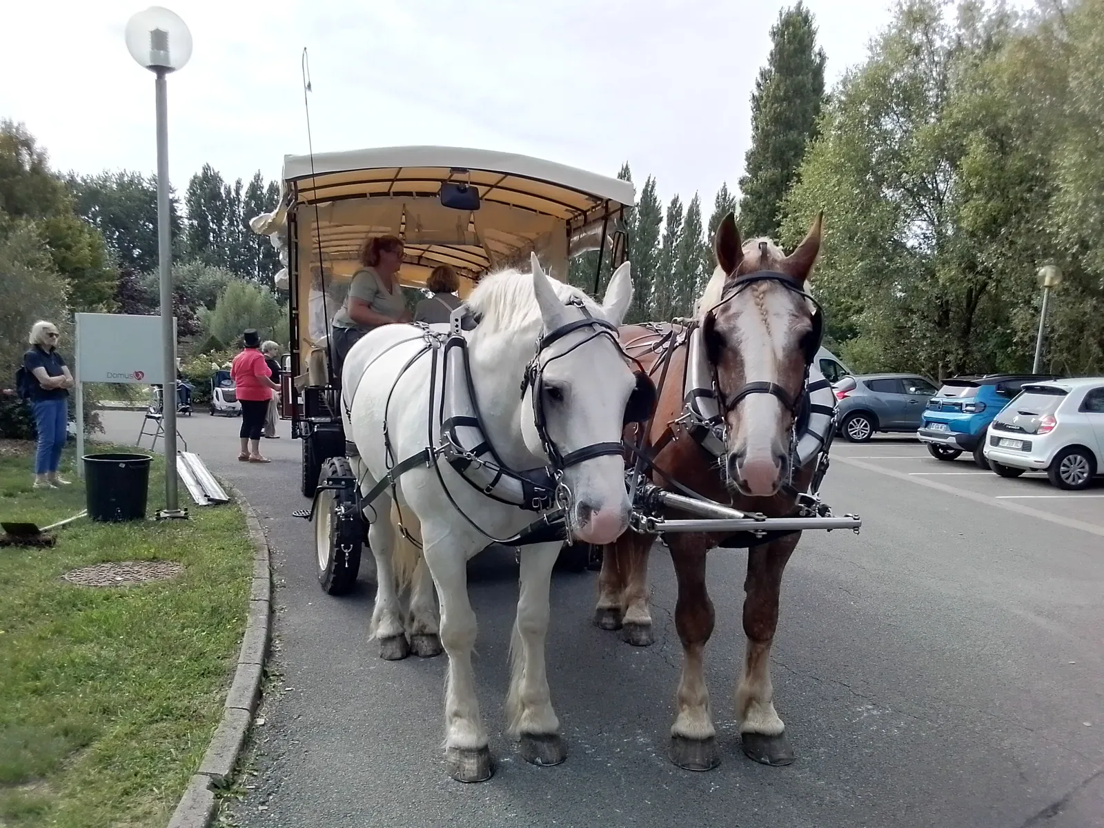 Balade en calèche 