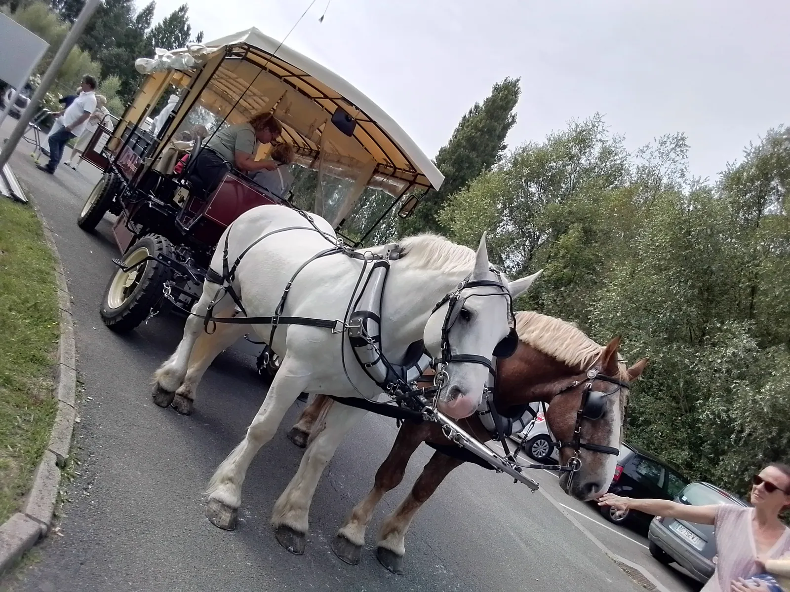Balade en calèche 