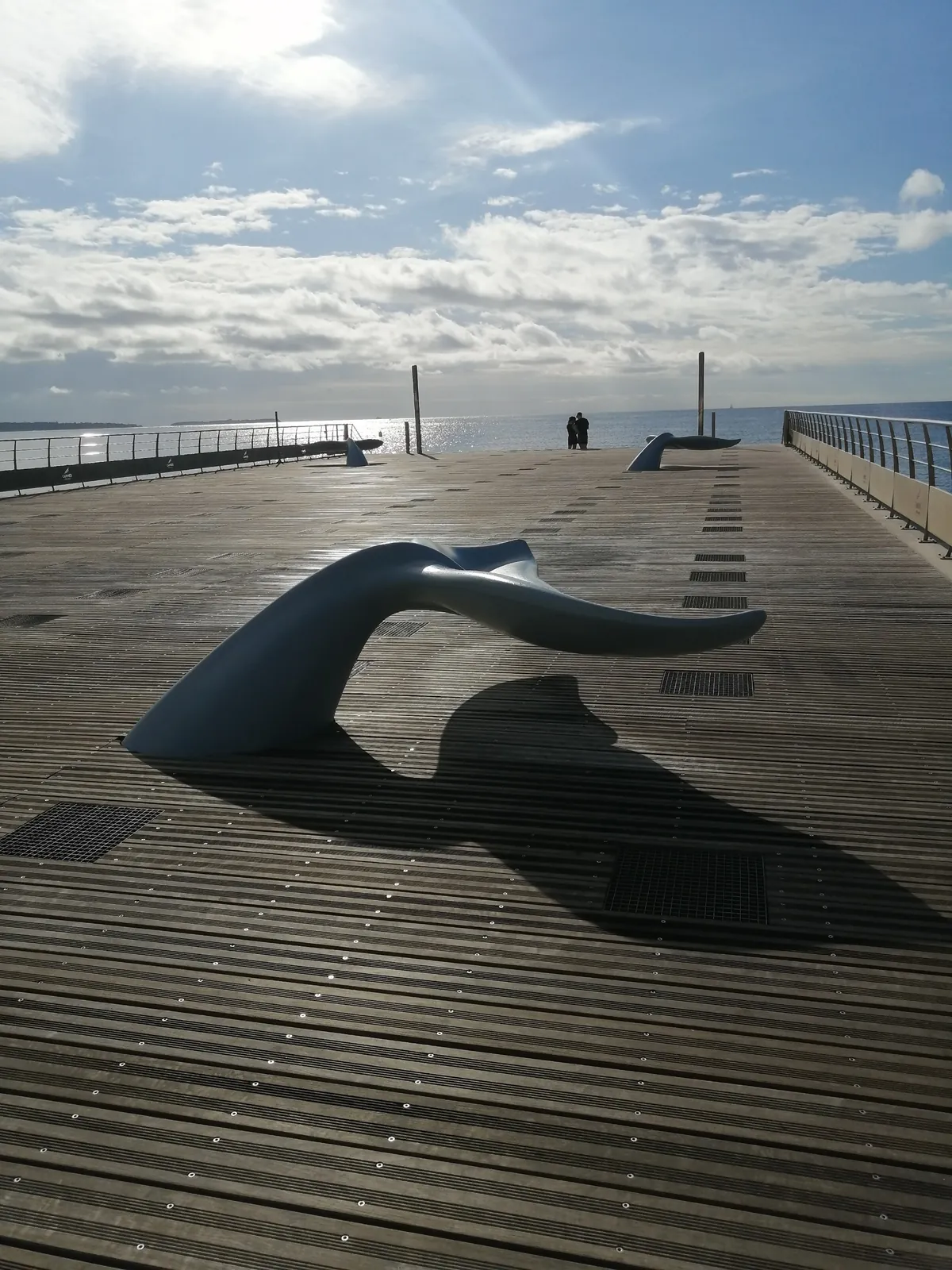 Nom d'une Baleine !