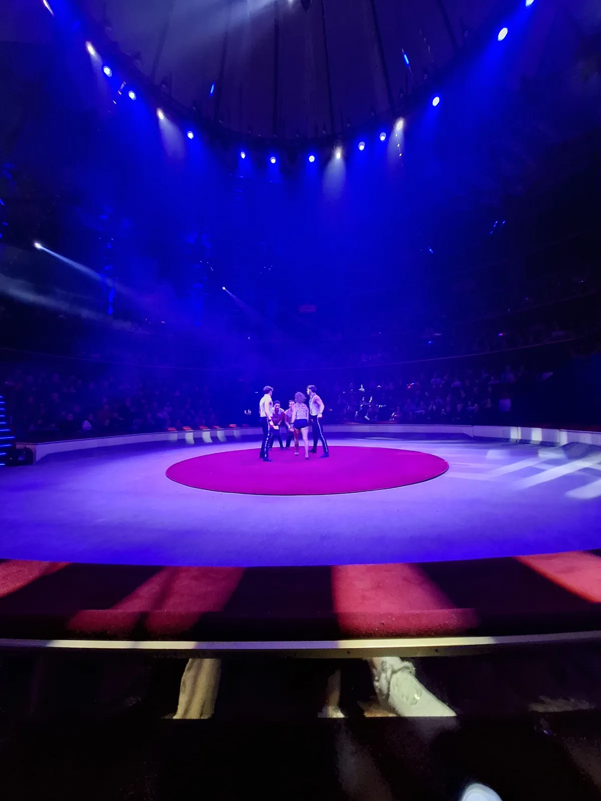 Un Nouvel An féérique : Nos résidents au Cirque d’Hiver Bouglione