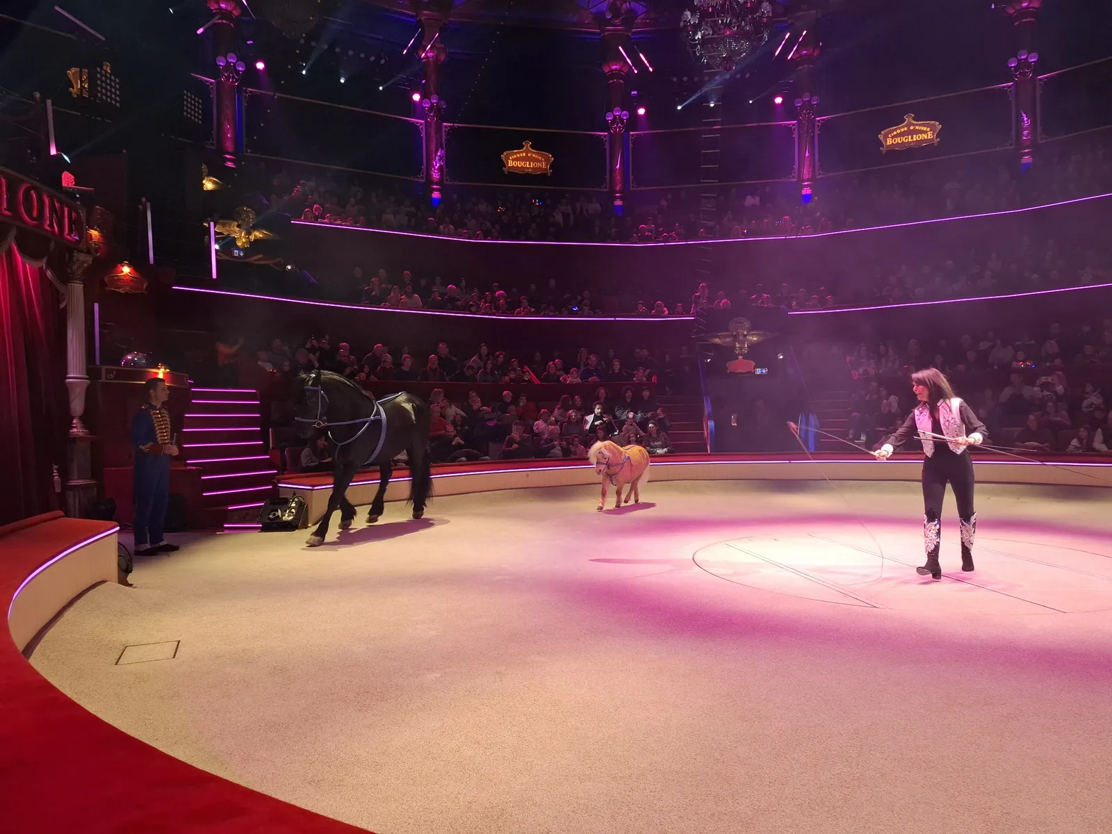 Un Nouvel An féérique : Nos résidents au Cirque d’Hiver Bouglione